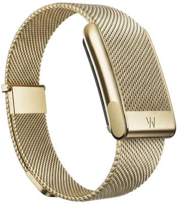 Meridian Band